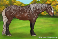 Horse Color:Gray Silver Bay Ice 