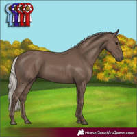 Horse Color:Silver Black 