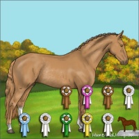 Horse Color:Chestnut Sabino Rabicano