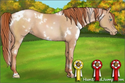 Horse Color:White Spotted Buckskin Pearl 