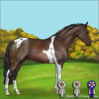Horse Color:Brown Tobiano