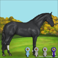 Horse Color:Black 