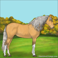 Horse Color:Silver Buckskin 