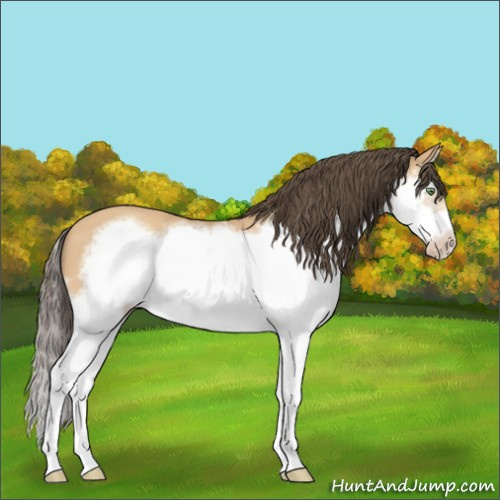 Horse Color:Amber Champagne Splash Frame 