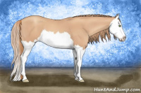 Horse Color:Gold Champagne Splash 