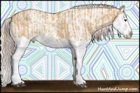 Horse Color:Palomino Dun Splash  and Cremello Dun Splash 