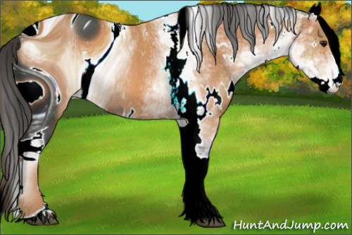 Horse Color:ERROR: UNKNOWN ANOMALY