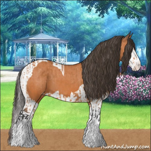 Horse Color:Bay Splash Tobiano Appaloosa  and Bay Splash Tobiano Appaloosa 