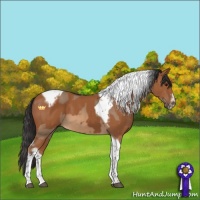 Horse Color:Bay Dun Tobiano  and Bay Tobiano Frame 