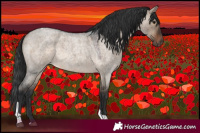Horse Color:Brown Roan Dun Tobiano