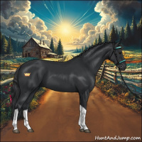 Horse Color:Black Sabino Tobiano 