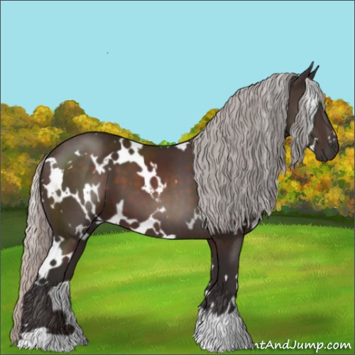 Horse Color:White Spotted Silver Brown 