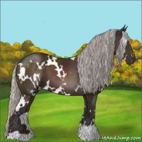 Horse Color:White Spotted Silver Brown 