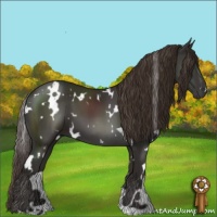Horse Color:White Spotted Liver Chestnut 