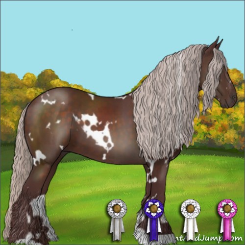 Horse Color:White Spotted Chocolate Silver Brown 