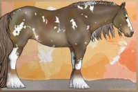 Horse Color:White Spotted Chocolate Palomino 