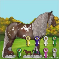 Horse Color:White Spotted Chocolate Silver Brown 