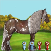 Horse Color:White Spotted Chocolate Silver Brown 