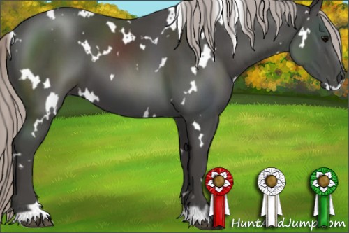 Horse Color:White Spotted Silver Black 