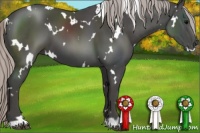 Horse Color:White Spotted Silver Black 