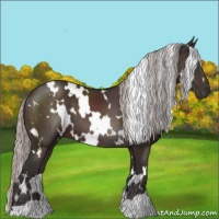 Horse Color:White Spotted Silver Brown
