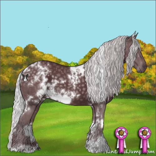 Horse Color:White Spotted Chocolate Silver Black Chinchilla 