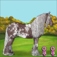 Horse Color:White Spotted Chocolate Silver Black Chinchilla 