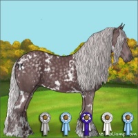 Horse Color:White Spotted Chocolate Silver Black Chinchilla 