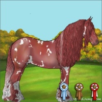 Horse Color:Watercolor White Spotted Liver Chestnut 