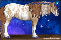 Horse Color:White Spotted Buckskin Pearl Splash Blanket Rabicano 