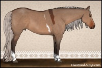 Horse Color:Silver Brown Dun Tobiano 