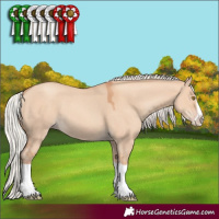 Horse Color:Silver Classic Champagne Dun Splash Frame 