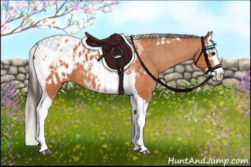Horse Color:Bay Splash Tobiano Appaloosa and Silver Bay Splash Tobiano Appaloosa
