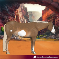 Horse Color:Chocolate Palomino Frame