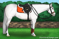 Horse Color:Gray Bay Sabino 