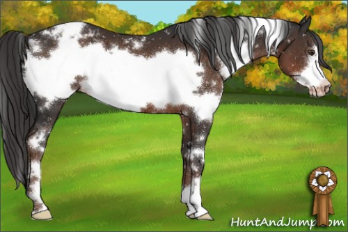 Horse Color:White Spotted Liver Chestnut Frame Snowflake Varnish 