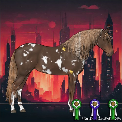 Horse Color:White Spotted Liver Chestnut Sabino