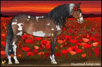 Horse Color:White Spotted Brown Frame 