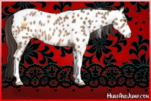 Horse Color:Sable Champagne Tobiano Frame Near Leopard