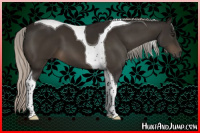 Horse Color:Gray Silver Bay Tobiano