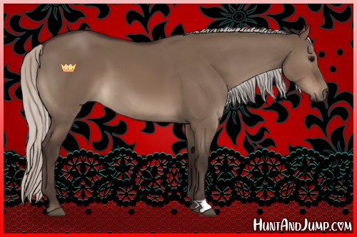 Horse Color:Silver Brown Dun 