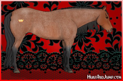 Horse Color:Bay Roan Sabino 