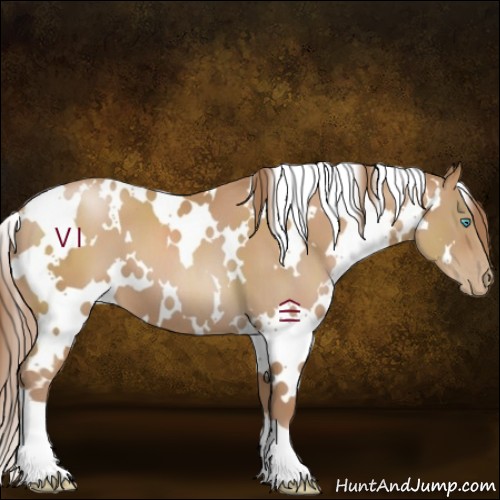 Horse Color:White Spotted Chocolate Black Pearl