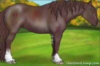 Horse Color:Chocolate Black Sabino