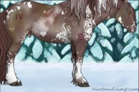 Horse Color:White Spotted Chocolate Black