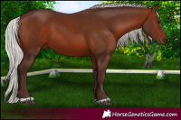 Horse Color:Silver Brown 