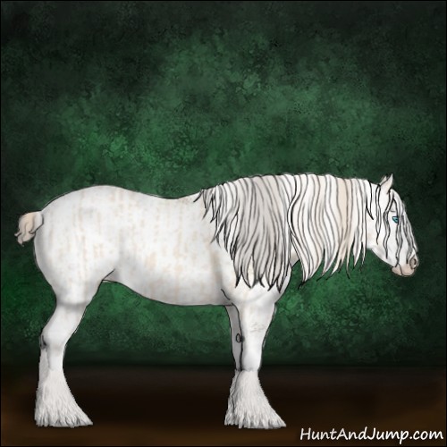 Horse Color:Perlino Sabino  and Buckskin Sabino 