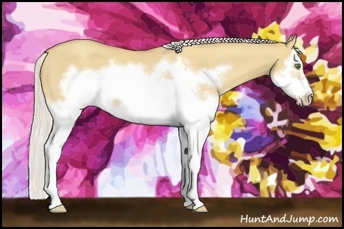 Horse Color:Silver Classic Champagne Dun Splash Frame 