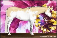 Horse Color:Silver Classic Champagne Dun Splash Frame 