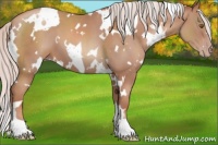 Horse Color:White Spotted Chocolate Silver Classic Champagne